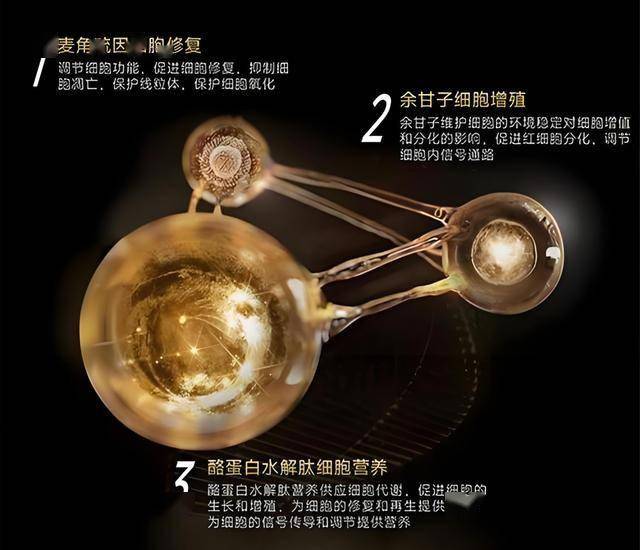 xm外汇是正规平台吗量子计算机能秒解口令吗